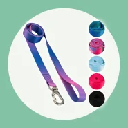 Coleira Guia para Cachorro Cães Longa Adestramento Unificada Várias estampas Basic Pet