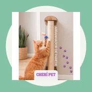 Arranhador para Entreter e Cuidar das Unhas do Gato
