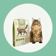 Areia 4kg Biodegradável Kadi Grãos Finos para Gatos