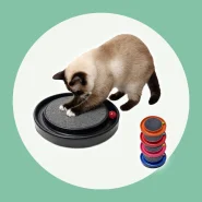 Arranhador Redondo Para Gato Relax Com Bolinha Miau