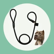 Guia Unificada Adestramento Cachorro Coleira Nylon Reforçado Cães