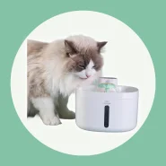 Fonte de Água Automática para Cães e Gatos