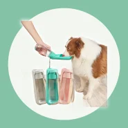 Bebedouro para Cachorro Garrafa Pet Portatil Pet 550ml com Trava