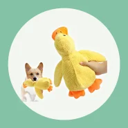 Brinquedo Interativo para Divertir Seu Pet
