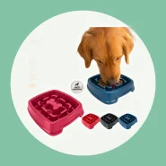 Comedouro 650ml para Cães e Gatos