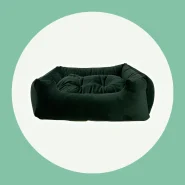 Caminha para o Seu Pet Descansar