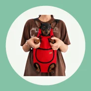 Bolsa de Transporte para Viajar com Cães e Gatos