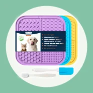 Comedouro para Cães e Gatos