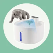 Fonte de Água 2.6l com Filtro para Cães e Gatos