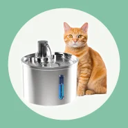 Fonte de Água Inox 3l para Gatos