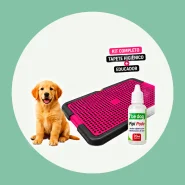 Tapete Higiênico para Facilitar a Rotina do Seu Pet