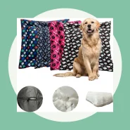 Caminha para o Seu Pet Descansar
