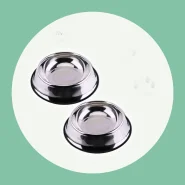 Comedouro e Bebedouro em Inox para Cães e Gatos