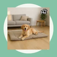 Caminha para o Seu Pet Descansar