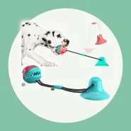 Bola de Brinquedo Interativa Molar Slow Food com Vazamento