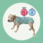 Roupa Pós Cirúrgica para Cachorro Cirurgia de Pet com Proteção