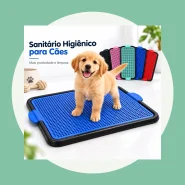 Tapete Higiênico para Facilitar a Rotina do Seu Pet