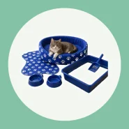 Caminha para o Seu Pet Descansar