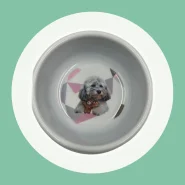 Comedouro e Bebedouro para Cães e Gatos