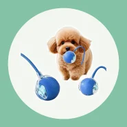 Bola Automática Interativa para Pets, Brinquedo com Movimento