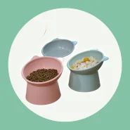 Comedouro e Bebedouro Elevados para Cães e Gatos