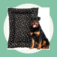 Cama para Cachorro Lavavel com Ziper Conforto e Durabilidade