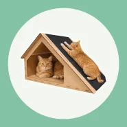 Arranhador para Entreter e Cuidar das Unhas do Gato