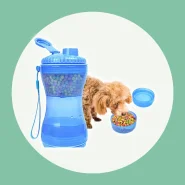 Bebedouro e Comedouro 2 em 1 para Pets
