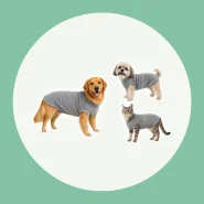Roupa de Soft para Seu Pet Ficar Confortável