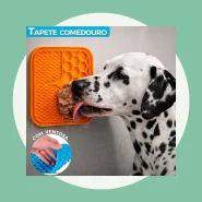 Comedouro para Cães e Gatos