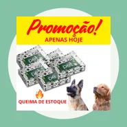 Tapete Higiênico para Facilitar a Rotina do Seu Pet