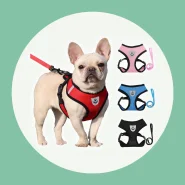 Peitoral para Passeios com Seu Pet