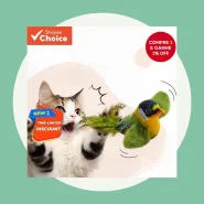 Brinquedo Interativo para Divertir Seu Pet