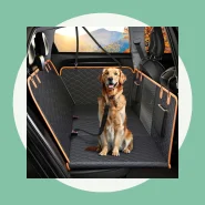 Cinto de Segurança para Viajar com Seu Pet