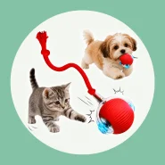 Bola Interativa Automática Pet Cães Gatos Recarregável USB
