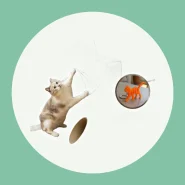 Arranhador para Entreter e Cuidar das Unhas do Gato