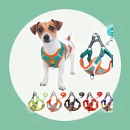 Peitoral para Passeios com Seu Pet