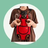 Bolsa de Transporte para Viajar com Cães e Gatos