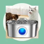 Newpet 3.2l Bebedouro de Água para Gatos Fonte 5v