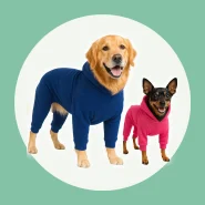 Roupa de Inverno com Capuz para Cachorro Pet Quente Soft