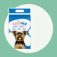 Tapete Higiênico para Facilitar a Rotina do Seu Pet