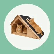 Arranhador para Entreter e Cuidar das Unhas do Gato