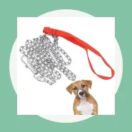Corrente Guia Coleira Metal para Cachorro Cães Pet Adestramento