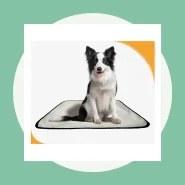 Tapete Higiênico para Facilitar a Rotina do Seu Pet