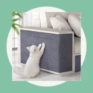 Arranhador para Entreter e Cuidar das Unhas do Gato