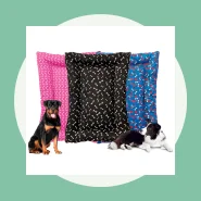 Caminha para o Seu Pet Descansar
