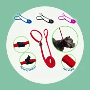 Coleira Unificada Guia Adestramento Educativa Anti Puxão Cachorro
