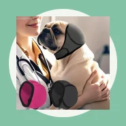 Protetores de Ouvido Calmantes para Cães Sunda, de à Prova