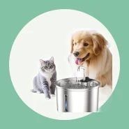 Aço Inoxidável Fonte para Gatos com Filtro 3l Dispensador