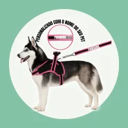 Peitoral com Guia para Passear com Seu Cão